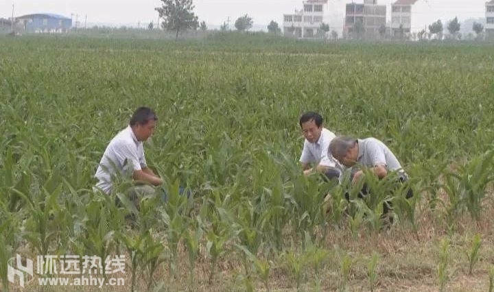 b4e6bcb465dce6dd021e8ec82df38c19.jpg