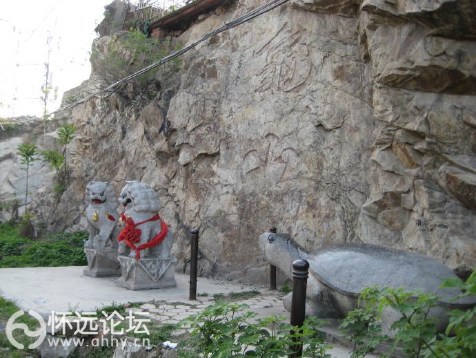 001GP8lpgy6Ry3DhD0B49&amp;690.jpg