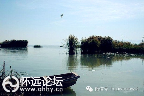 2d1aec7bbcccd672ebc47875f1a3dc46.jpg