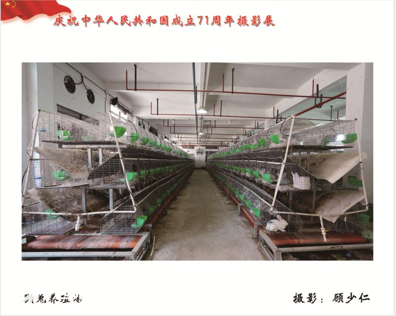 bcd61a9b7178501935ac58464febf22c.png