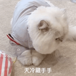8fcc4e9ad67d08a419b2c2aa3644e654.gif