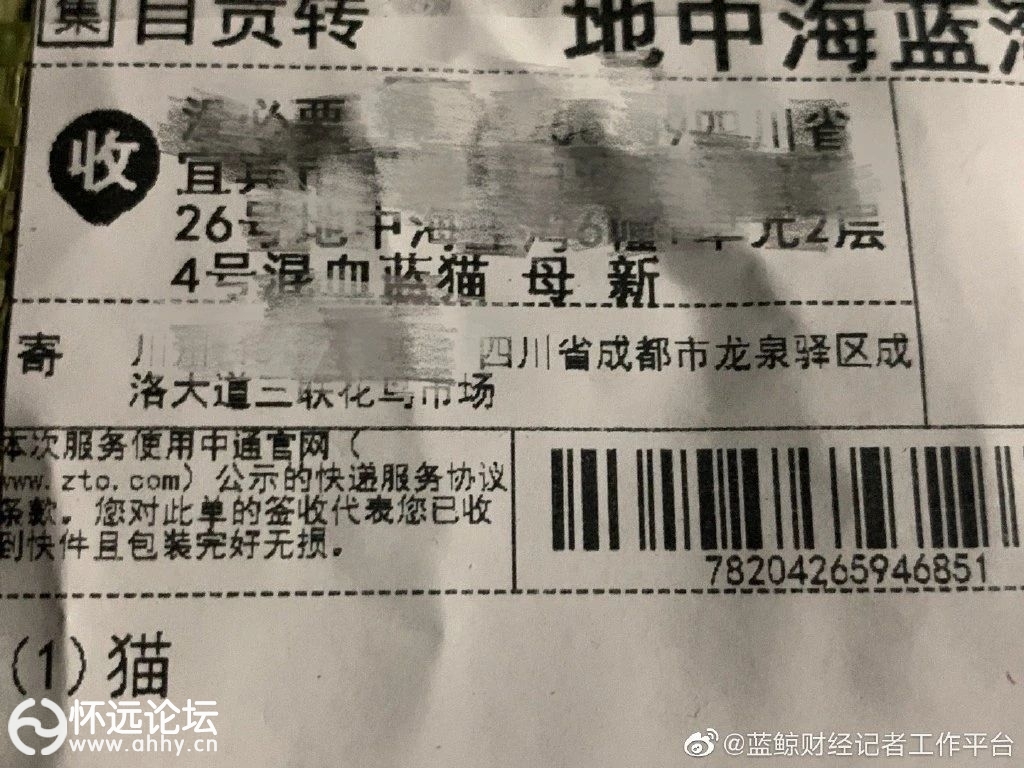 eb58d64e0e943f72882e6e08e10e9183.jpg