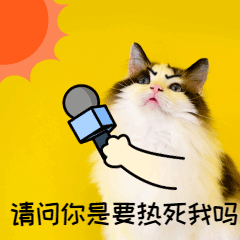 bd3d20ddf591bc90c27171137c2881ac.gif