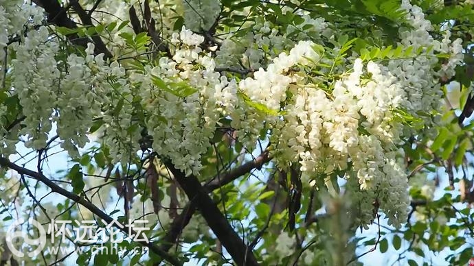 u=3727539117,902196179&amp;fm=26&amp;gp=0.jpg