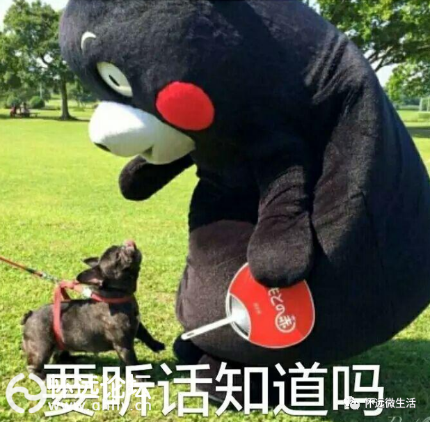 10b6754beb4aa9caff27790b5998d0db.png