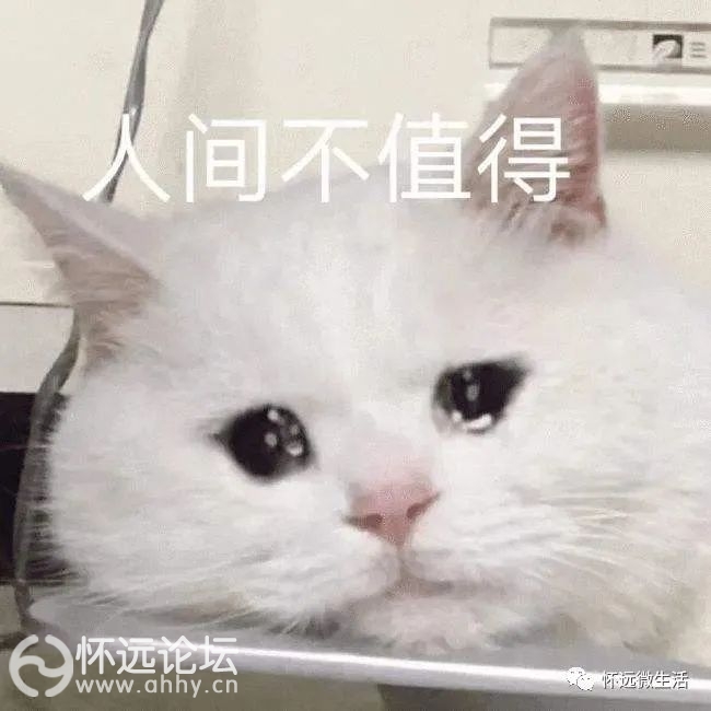 093310cf1e4s61yorxk6ef.jpeg