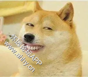 105839w7gc5y5iiyg5lc2g.jpeg