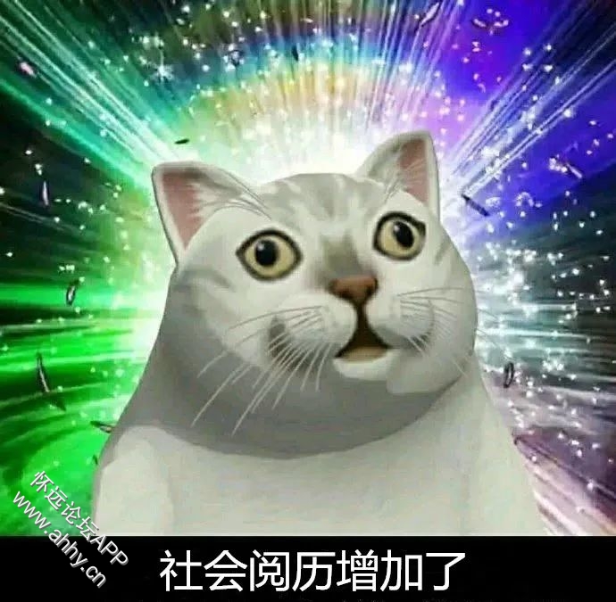105841cn3cssk3e1ukq3eb.jpeg