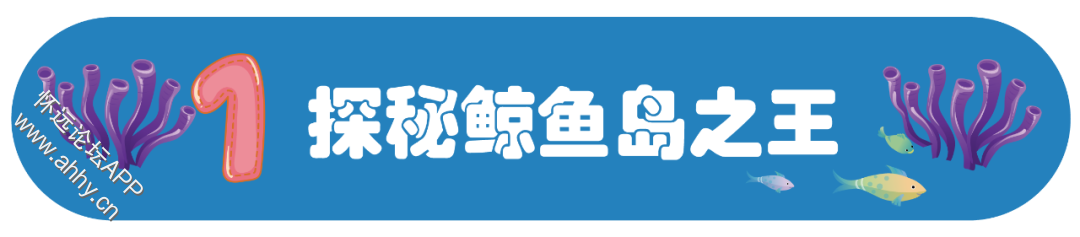 145044wjzw7a57e7r5cyx9.png