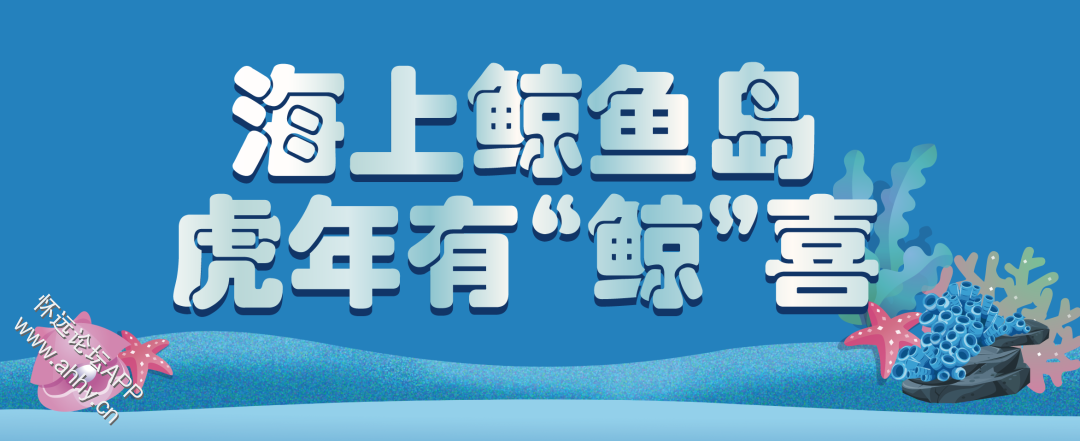 145043dwlq758wqq3lb074.png