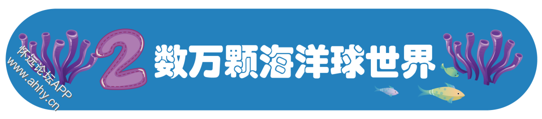 145047i5ojco53t5froj35.png