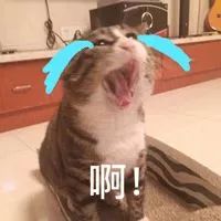 162115ovy44v2nczq2yn2f.jpeg