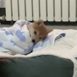110046vu9vatvq6iivmutr.gif