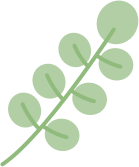 091544cef6ccn6000iznn6.png